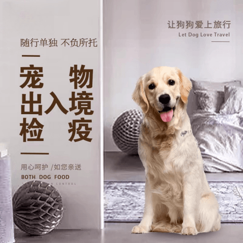 防城港市宠物托运到哥伦比亚猫狗宠物入境规定和