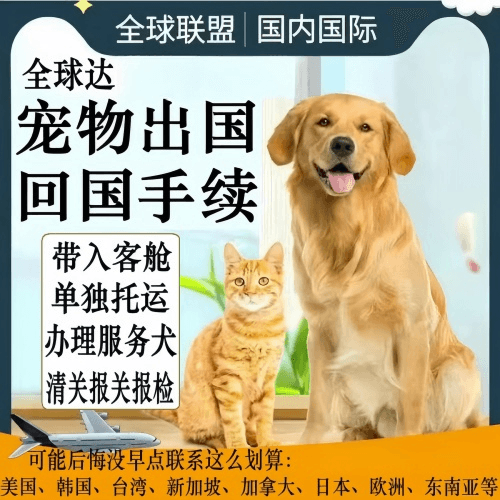 防城港市宠物托运到柬埔寨宠物入境规定和要求