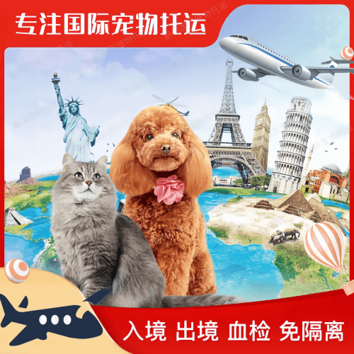 防城港市宠物托运到美国宠物入境最新规定和要求