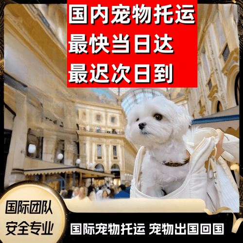 防城港市到澳大利亚（澳洲）宠物入境规定和要求