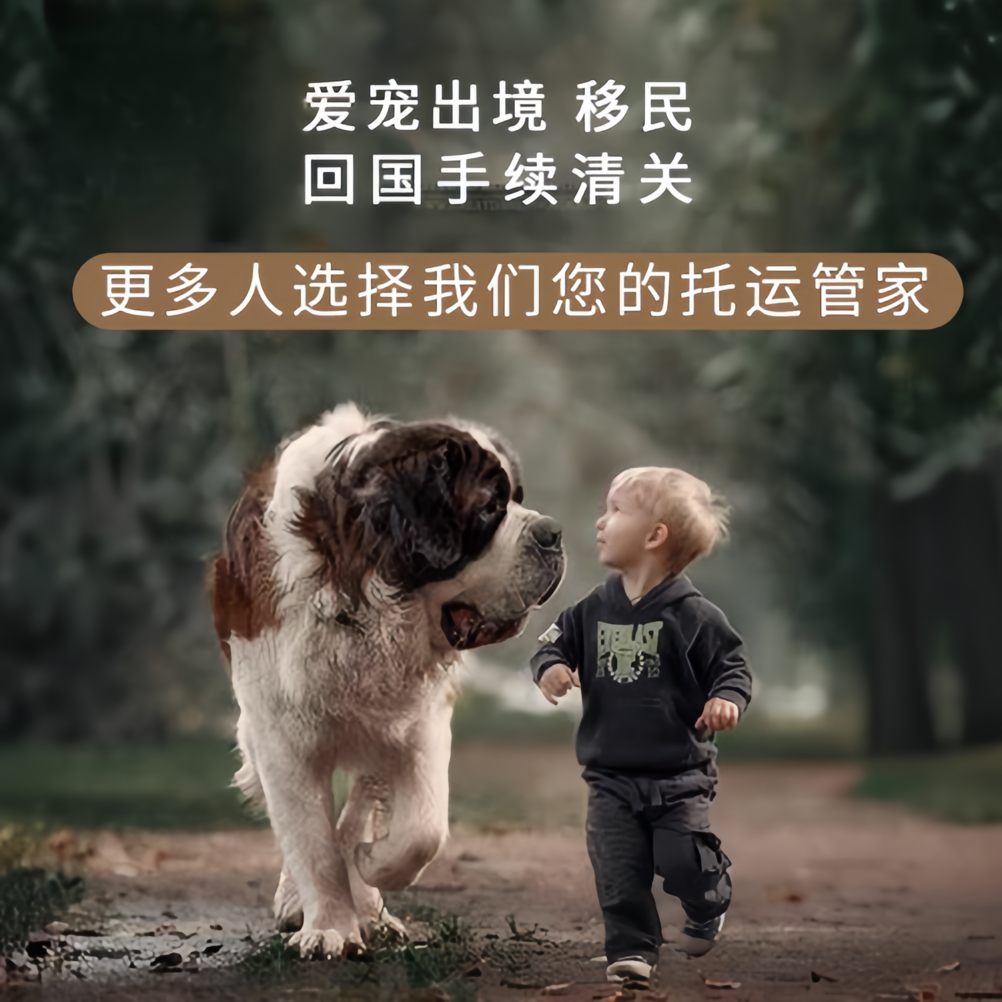 满财防城港市宠物全球达宠物托运在遵守入境目的地政策的条件